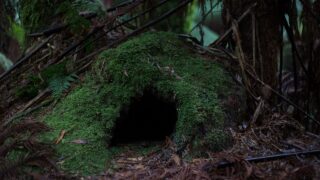 フリー台本筆先の世界 無料で使える朗読 声劇台本